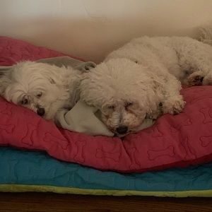 Meet your Posher, Melisa